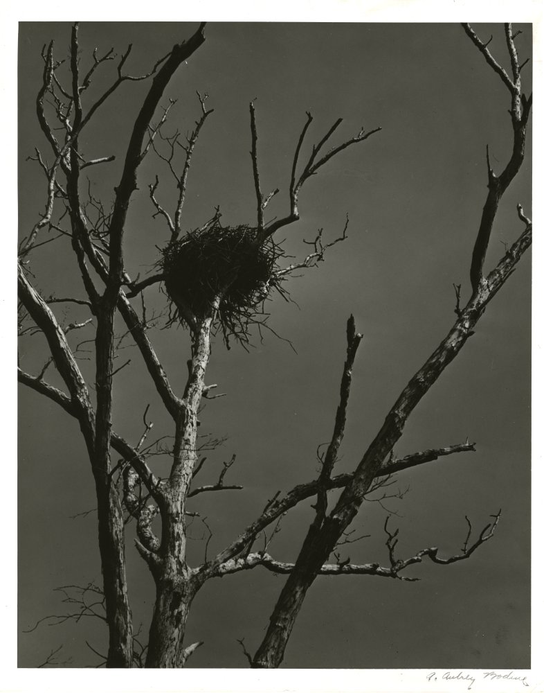 02-086 (click for large image)